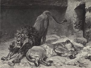 शेर का जागरण
