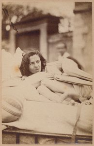 बोर्नविले एट पी। रेग्नार्ड, पेरिस, 1876 (एल्बम प्रिंट) द्वारा पॉल रिगार्ड