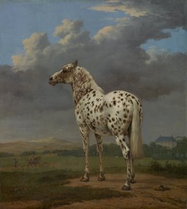 पीबल्ड हॉर्स, सीए 1654