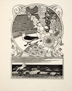 द टेम सीगल, ए हंड्रेड एनेक्डोट्स ऑफ एनिमल्स, पब से। 1924 (उत्कीर्णन) द्वारा पर्सी जे बिलिंग्सहर्स्ट