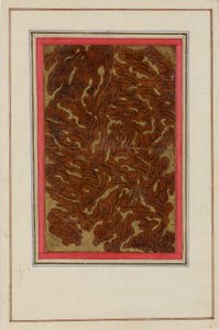 एल्बम का पृष्ठ (शिकस्ता सुलेख के साथ) (कागज पर स्याही और सोना) द्वारा फारसी स्कूल