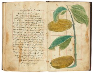 हसन बिन बकीर बिन जर्राह: गुलज़ार अल-रायहिन, क़ज़र ईरान द्वारा फारसी स्कूल