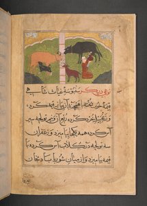  द्वारा फारसी स्कूल