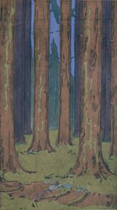 वन, 1901