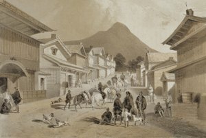 हाकोदादी में स्ट्रीट, &39;नैरेटिव ऑफ द एक्सपीडिशन ऑफ द अमेरिकन स्क्वाड्रन टू चाइना सीज़ एंड जापान&39;, पब। Sarony und Co., 1856 (टिंटेड लिथो) द्वारा द्वारा पीटर बर्नहार्ड विल्हेम हेन