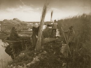 नॉरफ़ॉक ब्रोड्स पर रीड हार्वेस्ट, लाइफ एंड लैंडस्केप के दौरान, c.1886