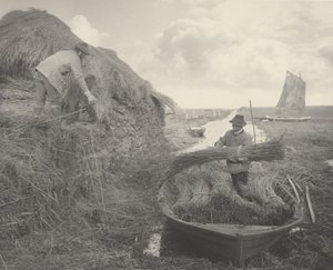 रिकिंग द रीड, 1886। निर्माता: डॉ पीटर हेनरी इमर्सन, थॉमस फ्रेडरिक गुडॉल। द्वारा पीटर हेनरी इमर्सन, थॉमस फ्रेडरिक गुडाल