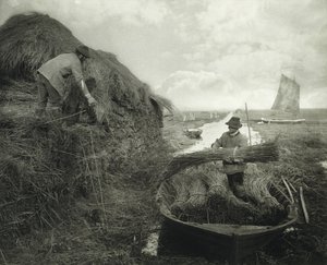 रिकिंग द रीड, c.1885 (प्लैटिनम प्रिंट)