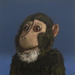 एंडी बंदर, 2017