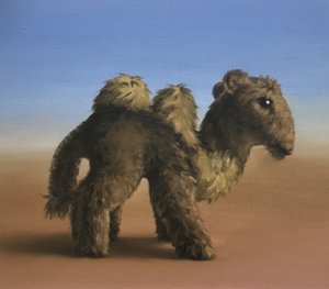 ऊंट, 2017