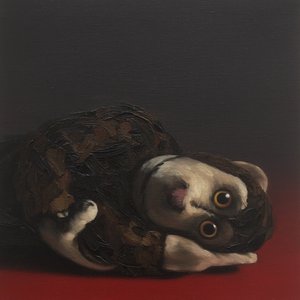 टोबी बंदर, 2017