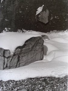 विन्टेज बी एंड डब्ल्यू फोटो नंबर 3, 1985 द्वारा पीटर मैकक्लेर