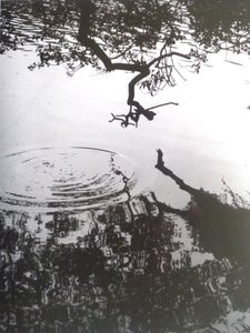 VINTAGE B & W PHOTO No.5, 1986 (PHOTOGRAPH) द्वारा पीटर मैकक्लेर