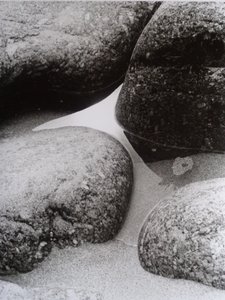 VINTAGE B & W फ़ोटो नंबर 9, 1987 (PHOTOGRAPH) द्वारा पीटर मैकक्लेर