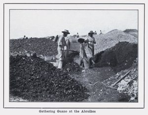 Abrolhos में गुआनो को इकट्ठा करना (b/w फोटो) द्वारा फोटोग्राफर ऑस्ट्रेलियाई