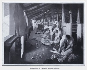 रिवरिना वूलशेड, मेर्रीबी में हाथ से बाल काटना (बी/डब्ल्यू फोटो) द्वारा फोटोग्राफर ऑस्ट्रेलियाई