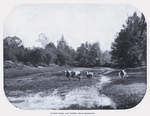 लॉकयर क्रीक, लैडले के पास, दक्षिण क्वींसलैंड (बी / डब्ल्यू फोटो) द्वारा फोटोग्राफर ऑस्ट्रेलियाई