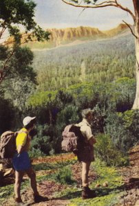 तस्मानिया: माउंट ओलिंपस के पास पैदल यात्री (रंगीन फोटो) द्वारा फोटोग्राफर ऑस्ट्रेलियाई