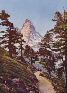  द्वारा फोटोग्राफर स्विस