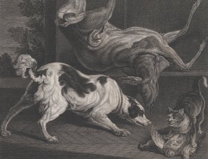डॉग्स एंड स्टिल लाइफ, 1778