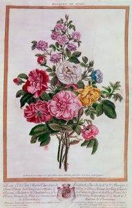 गुलाब का गुलदस्ता पियरे जोसेफ बुकोज़ (1731-1807) द्वारा 18 वीं शताब्दी पेरिस, बीएन द्वारा लिथोग्राफी द्वारा पियरे जोसेफ बुकोज़ो