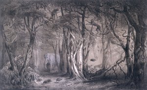 ब्लू नील नदी के किनारे पर वर्जिन फॉरेस्ट, वोयाज अऊ सौदान ओरिएंटल एट डांस लारिएक सेपेंट्रिनेल द्वारा पियरे ट्रेमाक्स (1818-95) द्वारा तिरपेन् और जे कैल्ड्राऊ द्वारा उत्कीर्ण, 1852 द्वारा पियरे ट्रेमाक्स