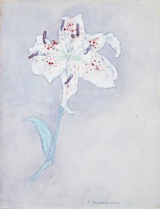 लिली, c.1920-25 (कागज पर पानी के रंग) द्वारा पीट मोंड्रियन