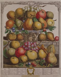 दिसंबर, &39;फ्रूट्स ऑफ़ मंथ्स फ्रूट्स&39; से, रॉबर्ट फ़र्बर (c.1674-1756) ने हेनरी फ्लेचर द्वारा 1732 (रंग उत्कीर्णन)