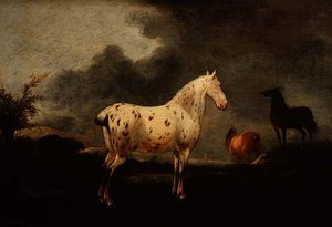 एक गहरे भूरे रंग के घोड़े के साथ लैंडस्केप, c.1670 (पैनल पर तेल)