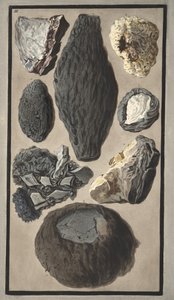 सर विलियम हैमिल्टन (1730-1803) द्वारा &39;कैंपी फलेग्रेई: ऑब्जर्वेशन ऑन द टू सीसिलीज़&39; से ज्वालामुखीय मामलों के नमूने, 1776 (हाथ के रंग की नक्काशी) द्वारा पिएत्रो फैब्रिस