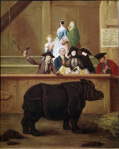 गैंडा: क्लारा, भारतीय गैंडे की प्रदर्शनी। पिएत्रो लोंगी (1702-1785) द्वारा पेंटिंग। १७५१. १८वीं सदी का विनीशियन संग्रहालय। Ca 'Rezzonico, वेनिस।