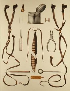 H. Schlegel और AH Verster de Wulverhorst द्वारा 'Traite de Fauconnerie' से फाल्कनरी के लिए उपकरण द्वारा पोर्टमैन और वान वूव