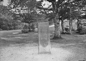 रूफस स्टोन, नया वन, सी 1896