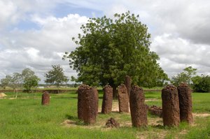 प्रागितिहास: वासु, गाम्बिया से पत्थरों का महापाषाण चक्र (फोटो) द्वारा प्रागैतिहासिक प्रागैतिहासिक