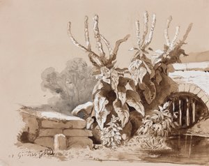 एक प्रशिक्षक, 1856 (पेंसिल, सीपिया washes und gouache with paper) के अतिरिक्त, एक खाई द्वारा पौधों का अध्ययन द्वारा प्रिंस गेटानो मारिया फेडेरिको डि बोरबोन