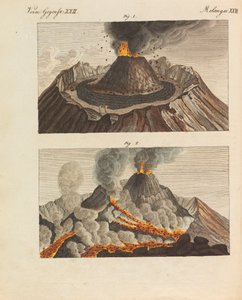 फ्रेडरिक जोहान जस्टिन बर्टुच, 1798-1830 द्वारा चिल्ड्रेन्स पिक्चर बुक चिल्ड्रेन एनसाइक्लोपीडिया।