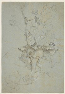 पादप अध्ययन द्वारा Rachel Ruysch