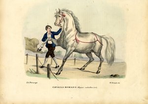 इतालवी घोड़ा, 1863-79 द्वारा रायमुंडो पेट्रारोइया