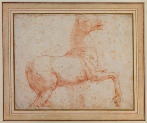 क्वैरिनल मार्बल हॉर्स में से एक का अध्ययन, c.1515-17 द्वारा राफेल