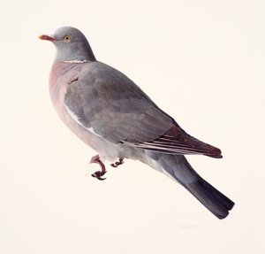  द्वारा रेमंड बूथ