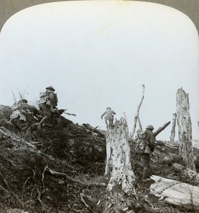ट्रोनस वुड, सोमे, फ्रांस, प्रथम विश्व युद्ध, 1916 में हमला द्वारा यथार्थवादी यात्रा प्रकाशक