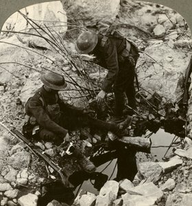 एक घायल पाल, हुग, Ypres, बेल्जियम, प्रथम विश्व युद्ध, 1914-1918 को पानी देना। द्वारा यथार्थवादी यात्रा प्रकाशक