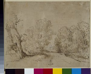एक जंगली सड़क, c.1650 (कागज पर कलम और स्याही) द्वारा रेम्ब्रांट हर्मेंज़। वैन रिजन