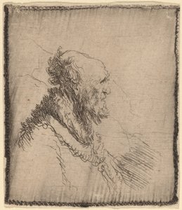 प्रोफाइल में छोटी दाढ़ी वाला बाल्ड ओल्ड मैन, c. 1635. द्वारा रिमब्रांड वैन रिजन