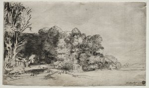 विस्टा के साथ पेड़ों का झुरमुट, 1652। द्वारा रिमब्रांड वैन रिजन