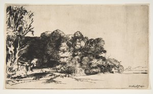 विस्टा के साथ पेड़ों का झुरमुट, 1652। द्वारा रिमब्रांड वैन रिजन