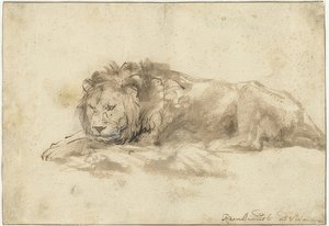 झूठ बोलने वाला शेर (Liggend leeuw)। 1650-1659 द्वारा रिमब्रांड वैन रिजन