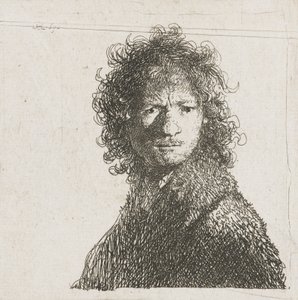 सेल्फ-पोर्ट्रेट फॉलिंग, 1630 द्वारा रिमब्रांड वैन रिजन