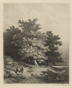  द्वारा रिमिगियस एड्रियनस हैनन