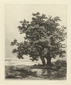  द्वारा रिमिगियस एड्रियनस हैनन